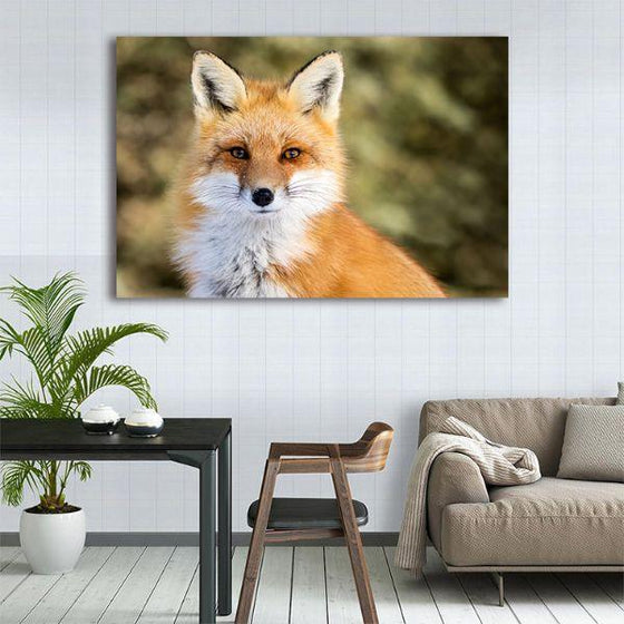 Adorable Wild Red Fox Canvas Wall Art Decor