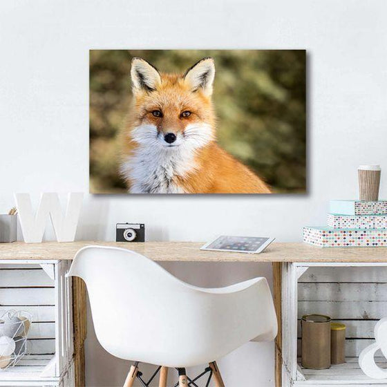 Adorable Wild Red Fox Canvas Wall Art Ideas