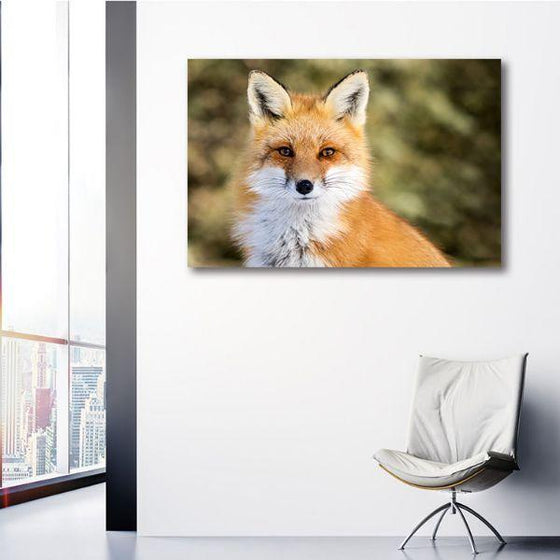 Adorable Wild Red Fox Canvas Wall Art Print