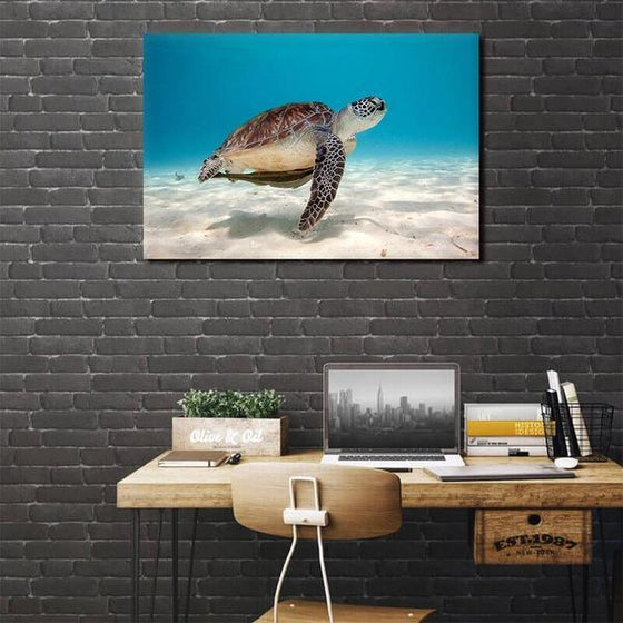 Alluring Sea Turtle Canvas Wall Art Bedroom
