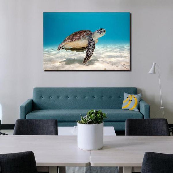 Alluring Sea Turtle Canvas Wall Art Decor