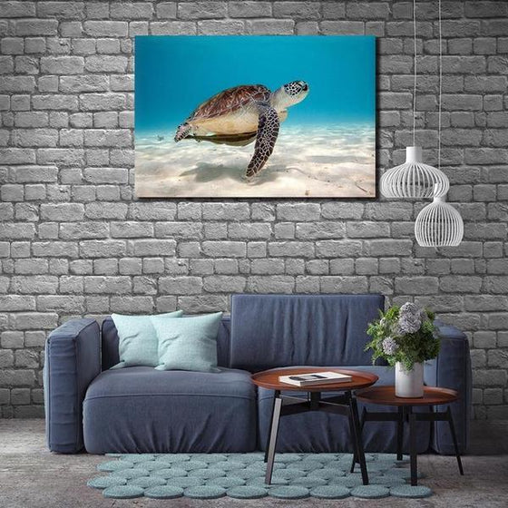 Alluring Sea Turtle Canvas Wall Art Print