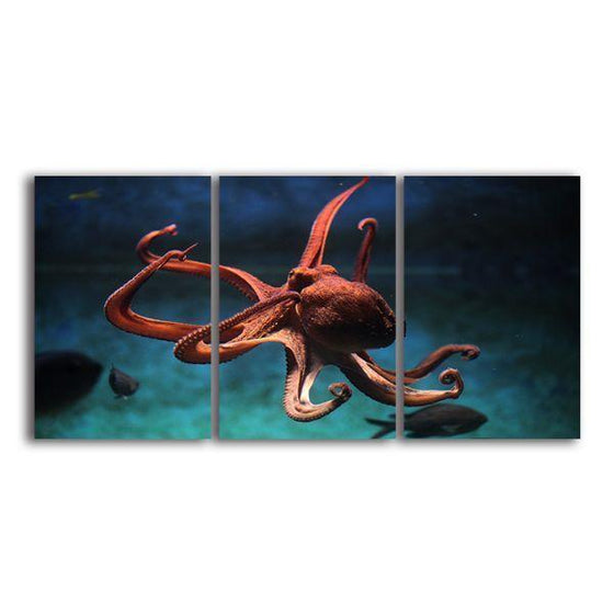 Amazing Octopus Canvas Wall Art