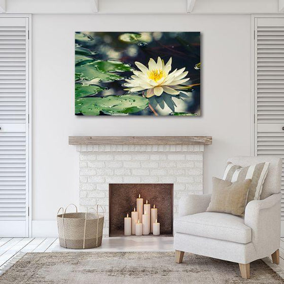Floating White Waterlily Canvas Wall Art Decor