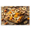 Assorted Dried Fruits Canvas Wall Art