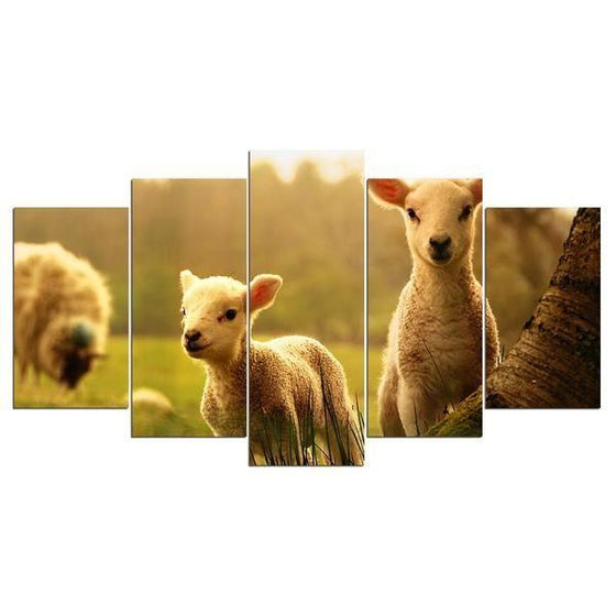 Baby Sheep Wall Art Canvas