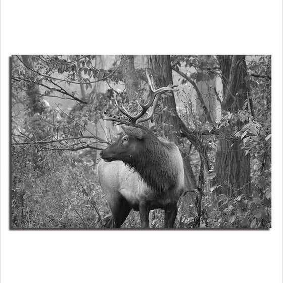 Black And White Elk Canvas Wall Art