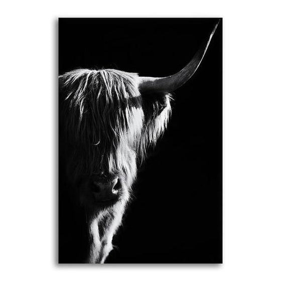 Black & White Highland Cow Head Canvas Wall Art