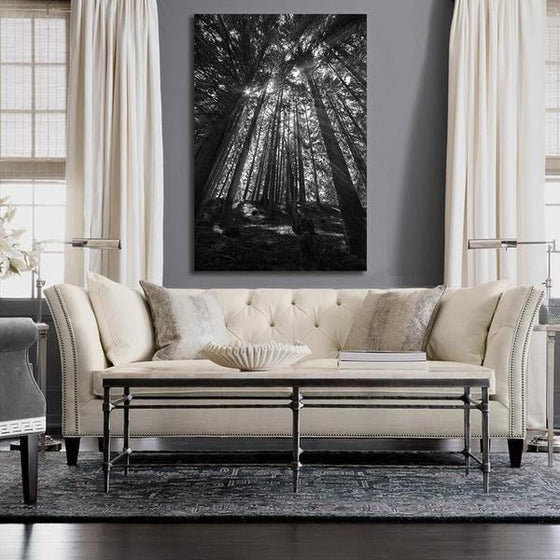 Black And White Tall Trees Wall Art Print