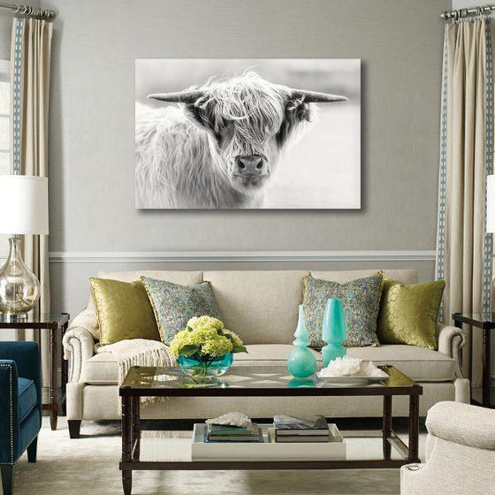 Black & White Highland Cattle Canvas Wall Art Ideas