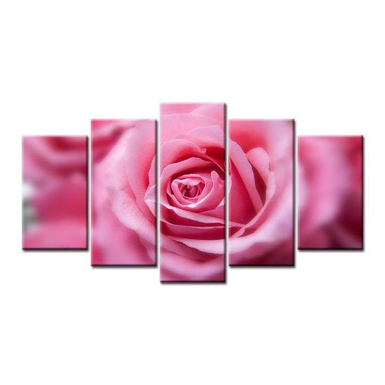 Blooming Pink Rose Canvas Wall Art Prints