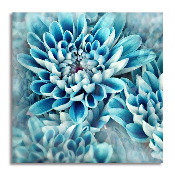 Blue Chrysanthemum Canvas Wall Art