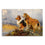 Scottish Shepherd Dog Canvas Wall Art