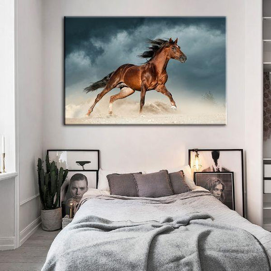 Brown Andalusian Horse Canvas Wall Art Decor