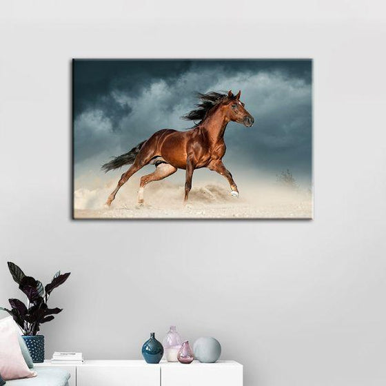 Brown Andalusian Horse Canvas Wall Art Print