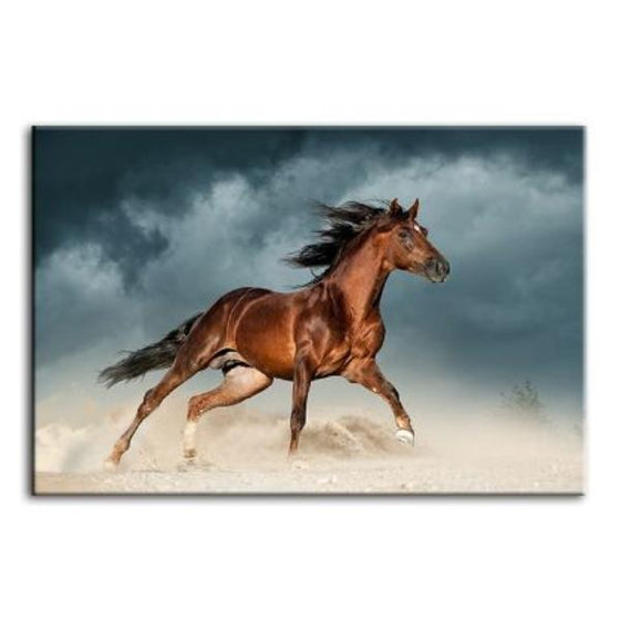 Brown Andalusian Horse Canvas Wall Art