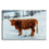 Brown Highland Cow Canvas Wall Art