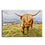 Brown Scottish Cow Canvas Wall Art