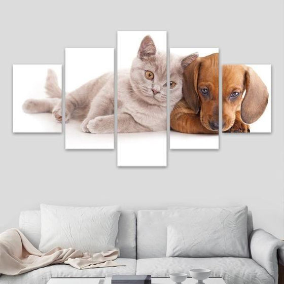 Cat And Dog Wall Art