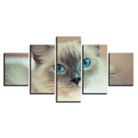 Cat Tail Wall Art Decors