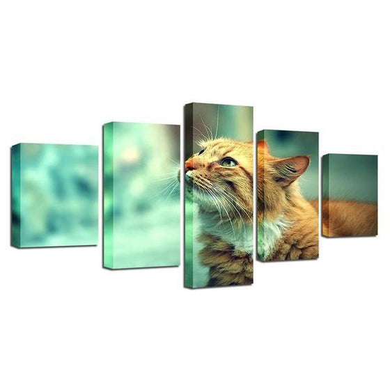 Cat Wall Art Canvas Prints