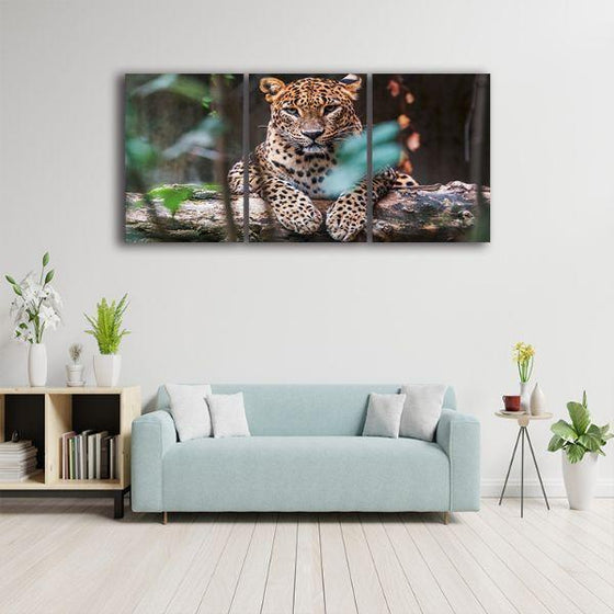 Ceylon Leopard 3 Panels Canvas Wall Art Print