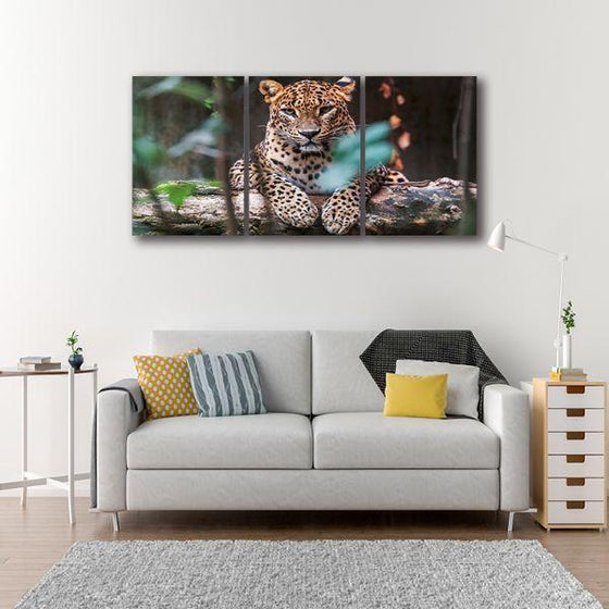 Ceylon Leopard 3 Panels Canvas Wall Art Set