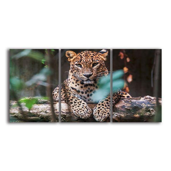 Ceylon Leopard 3 Panels Canvas Wall Art