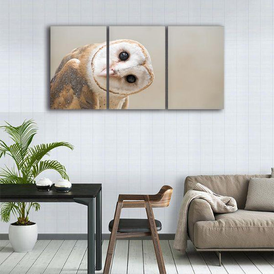 Charming White Owl 3 Panels Canvas Wall Art Print