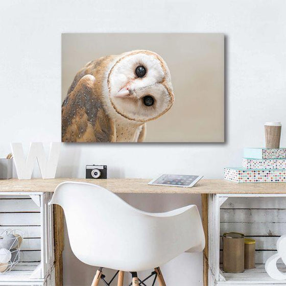 Charming White Owl Canvas Wall Art Ideas