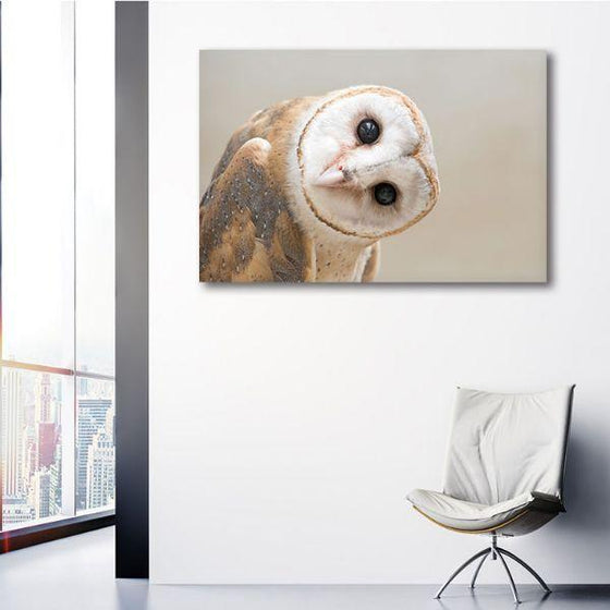Charming White Owl Canvas Wall Art Print