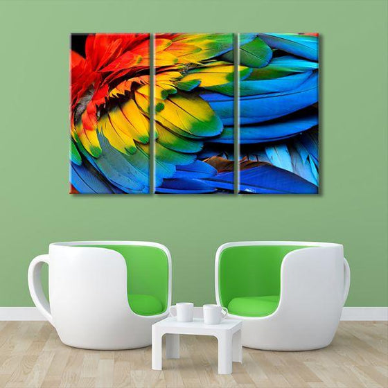 Colorful Feathers 3 Panels Canvas Wall Art Set