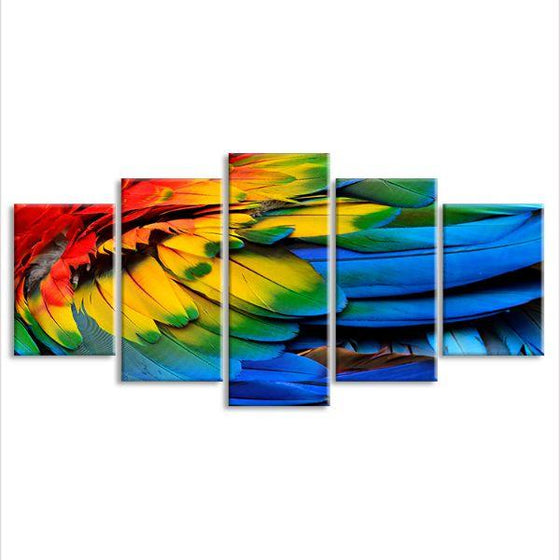 Colorful Feathers 5 Panels Canvas Wall Art