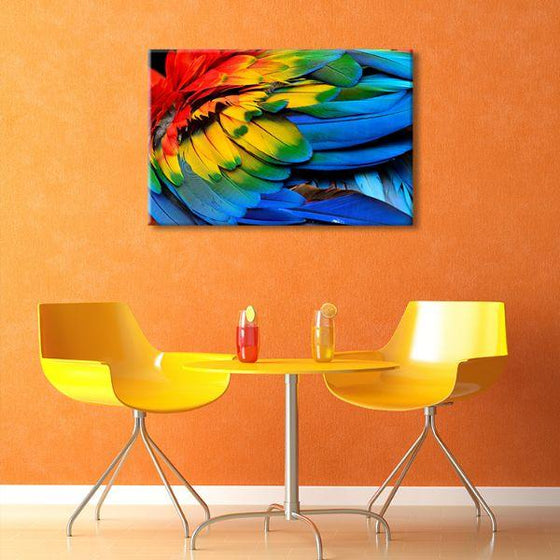 Colorful Feathers Canvas Wall Art Decor