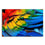 Colorful Feathers Canvas Wall Art