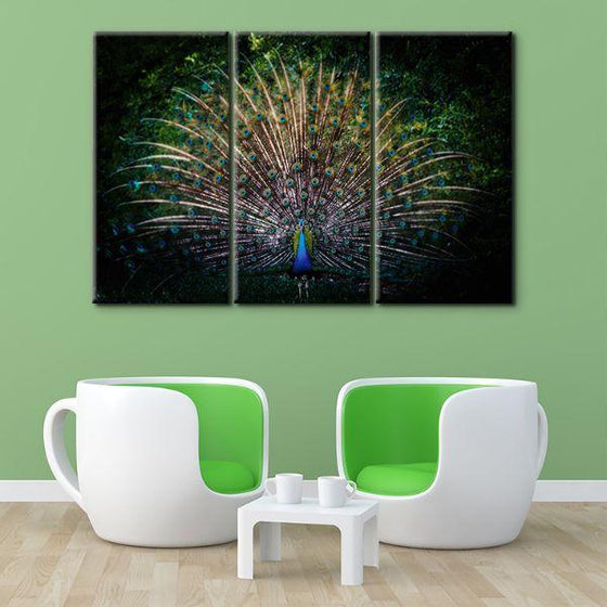 Colorful Peacock Tail 3 Panels Canvas Wall Art Decor