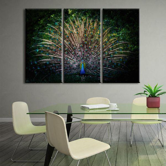 Colorful Peacock Tail 3 Panels Canvas Wall Art Print