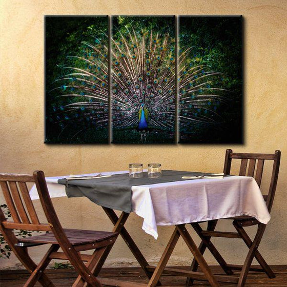 Colorful Peacock Tail 3 Panels Canvas Wall Art Set