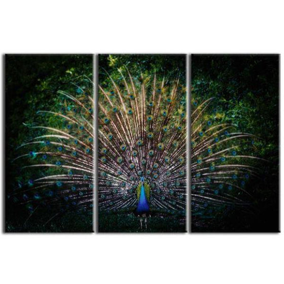 Colorful Peacock Tail 3 Panels Canvas Wall Art