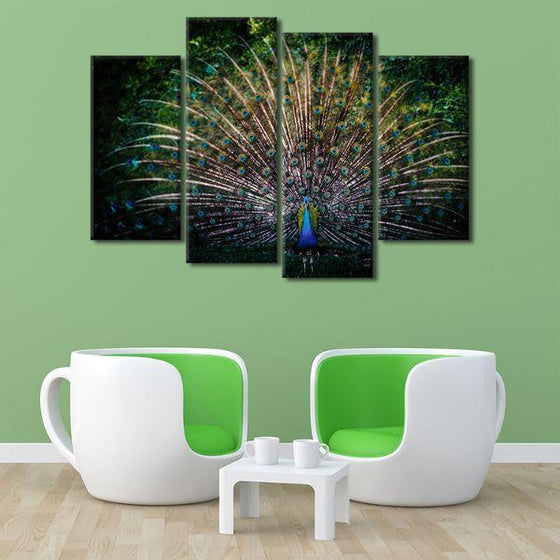 Colorful Peacock Tail 4 Panels Canvas Wall Art Set