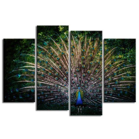 Colorful Peacock Tail 4 Panels Canvas Wall Art
