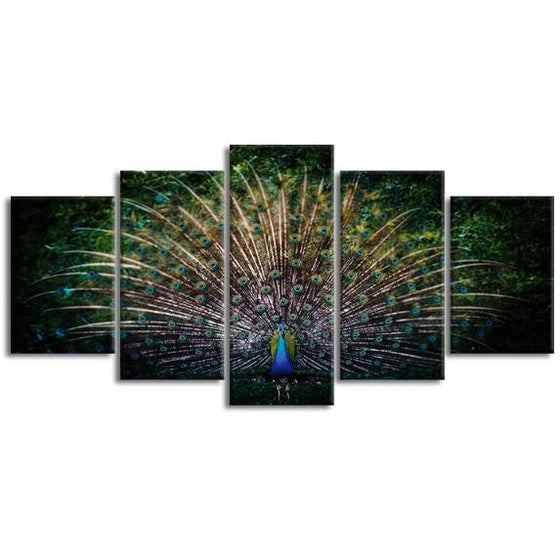 Colorful Peacock Tail 5 Panels Canvas Wall Art