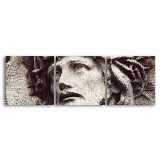 Crown Of Thorns 3 Panels Canvas Wall Art