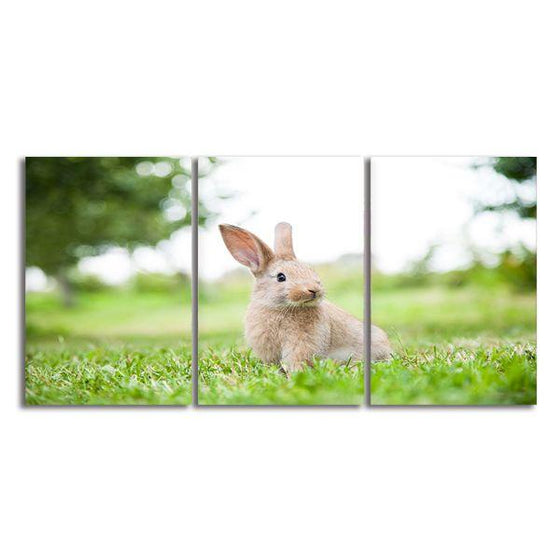 Cute Rabbit In The Grass 3 Panels Canvas Wall Art