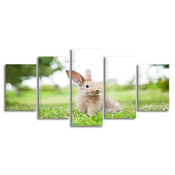 Cute Rabbit In The Grass 5 Panels Canvas Wall Art