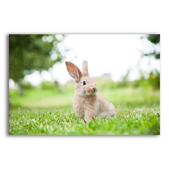 Cute Rabbit In The Grass Canvas Wall Art