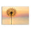 Dandelion Flower Canvas Wall Art