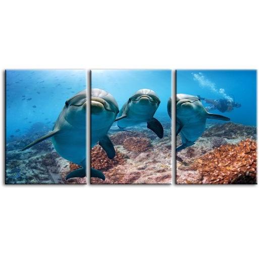 Dolphins Under The Ocean 3-Panel Canvas Wall Art