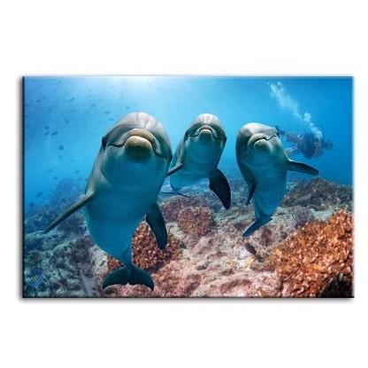 Dolphins Under The Ocean Canvas Wall Art