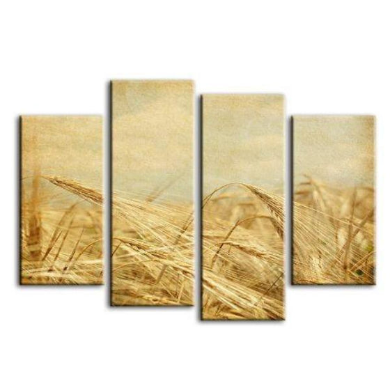 Field Of Golden Wheat 4 Panels Canvas Wall Art